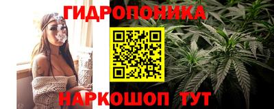 СК Аргун