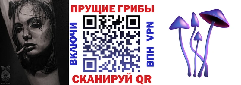 Псилоцибиновые грибы Psilocybe Северск