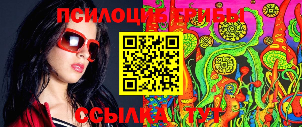 Псилоцибиновые грибы прущие грибы  Вход с VPN  Северск 