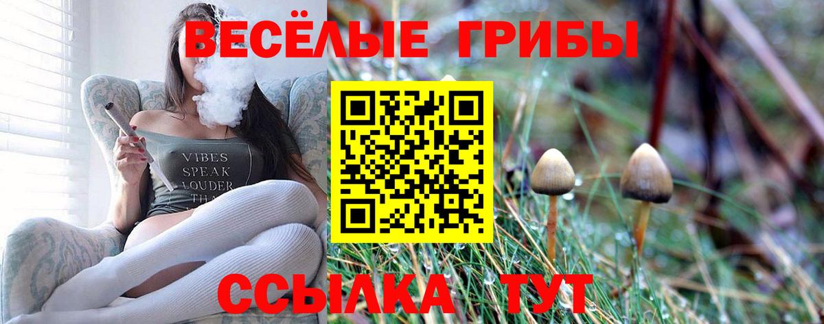 Северск  Галлюциногенные грибы MAGIC MUSHROOMS  Вход с VPN 